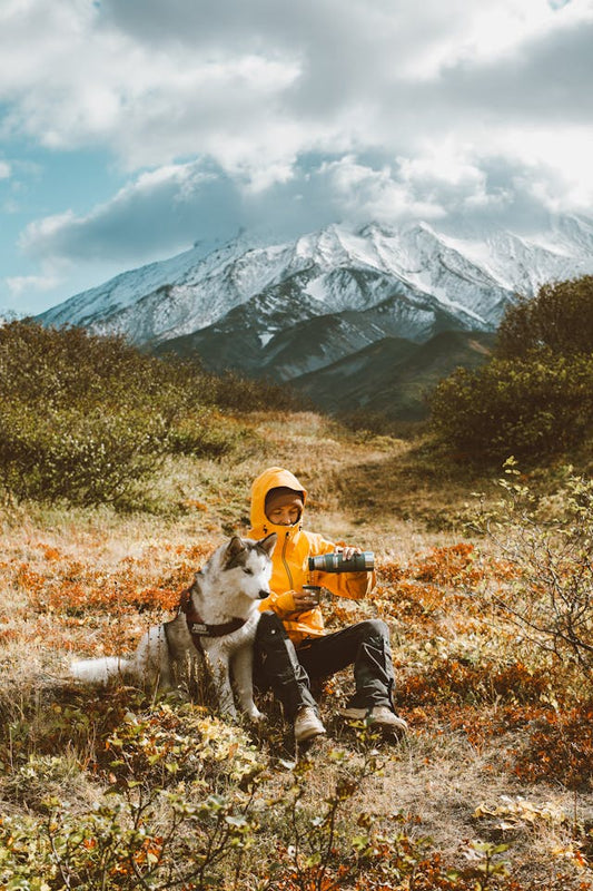 Person in gelber Jacke macht Trinkpause beim Wandern mit einem Husky in den Bergen – gemeinsame Auszeit in der Natur mit Hund