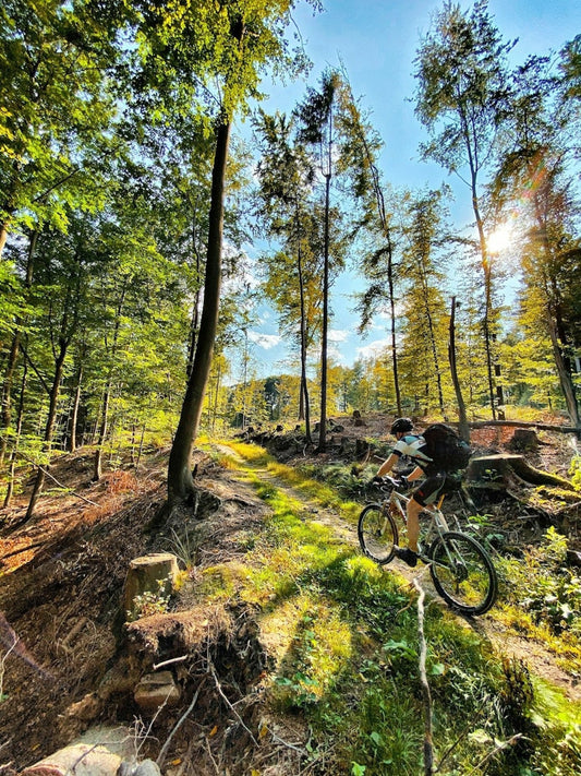Mountainbiken im Spessart